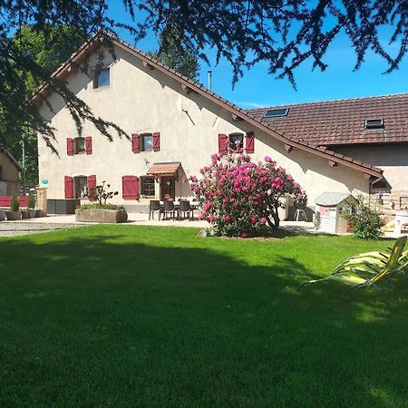 Gite Belle Fleur 6 Personnes- Vosges Saint-Nabord Εξωτερικό φωτογραφία