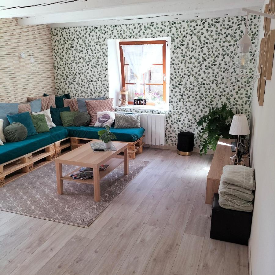 Gite Belle Fleur 6 Personnes- Vosges Saint-Nabord Εξωτερικό φωτογραφία