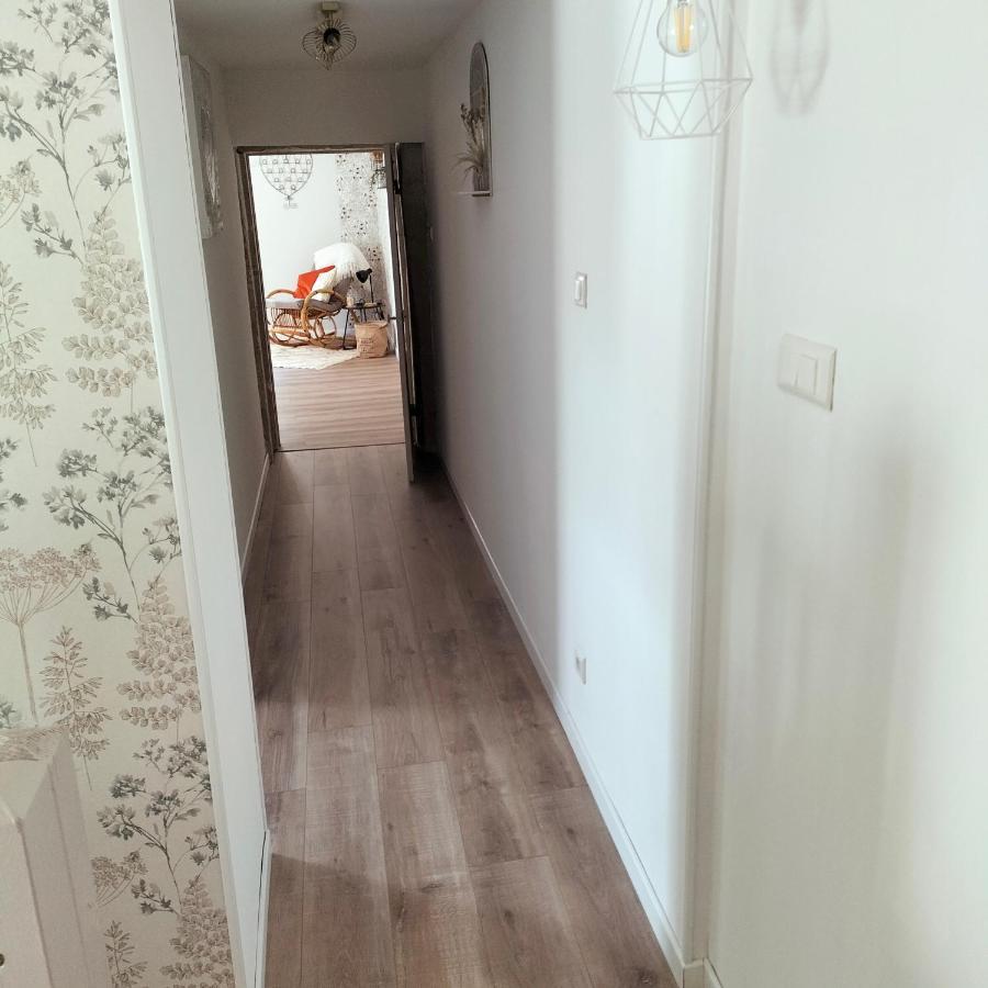 Gite Belle Fleur 6 Personnes- Vosges Saint-Nabord Εξωτερικό φωτογραφία