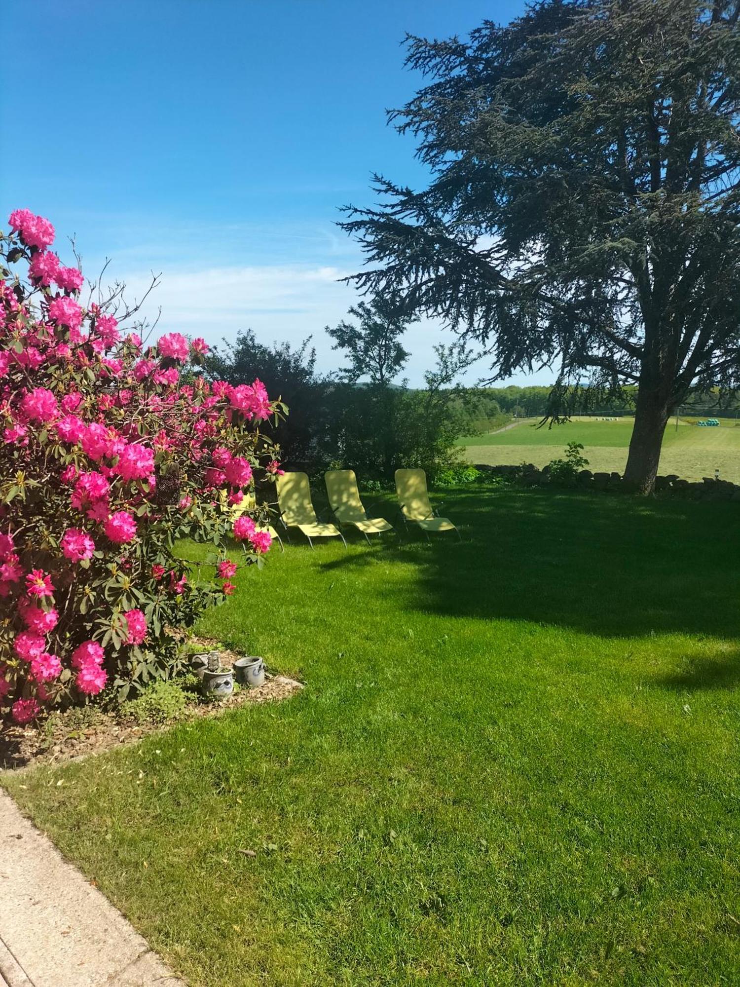 Gite Belle Fleur 6 Personnes- Vosges Saint-Nabord Εξωτερικό φωτογραφία